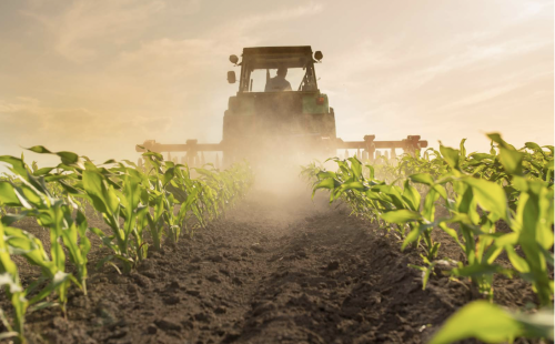 From farm to fork - sustainability